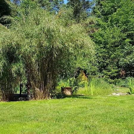 Fichtenwalde, 160qm, 3sz, 2bd, Küche, Vdsl * Beelitz