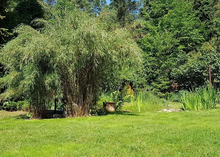 Fichtenwalde, 160qm, 3sz, 2bd, Kueche, Vdsl * بيليتس